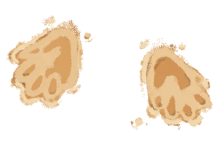 foot steps